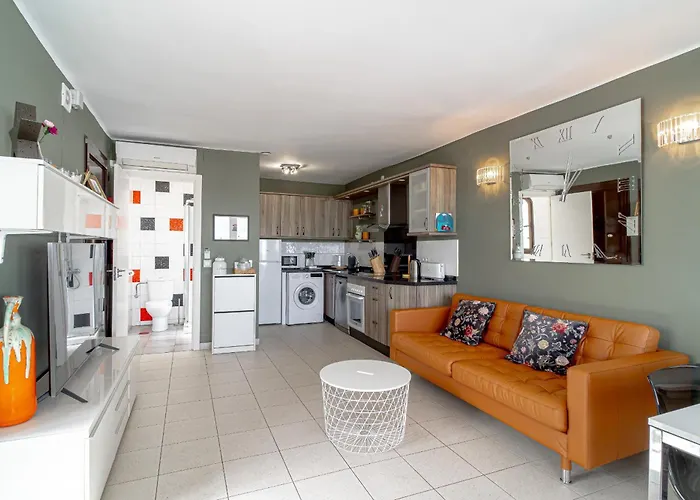 Capistrano Village Cactus Casasol